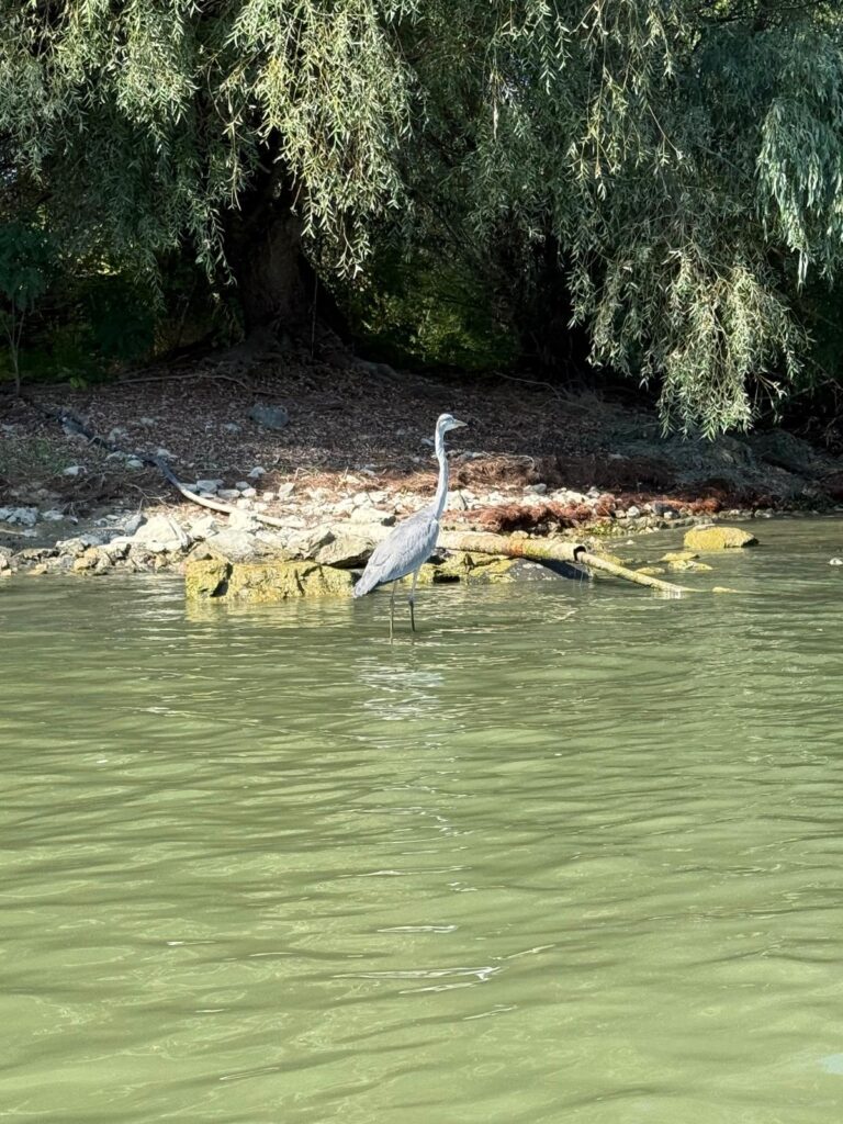 img 20251009 wa0003.jpg