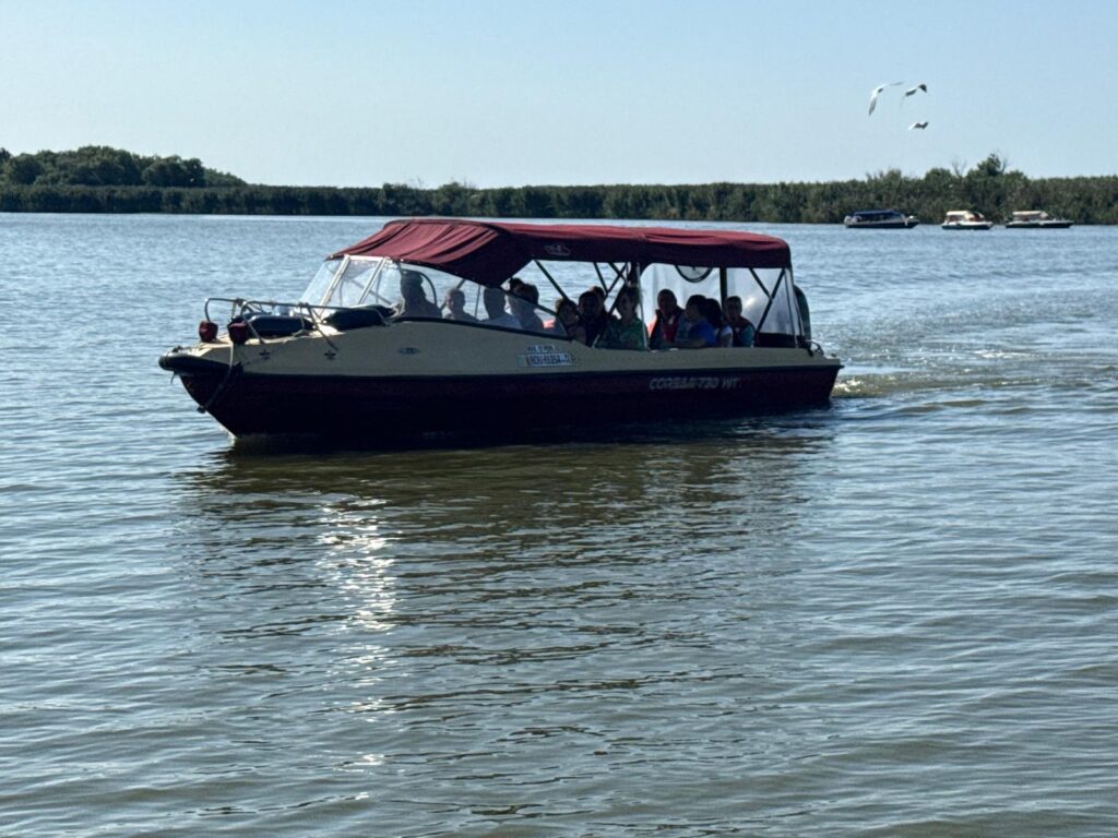 img 20251009 wa0007.jpg