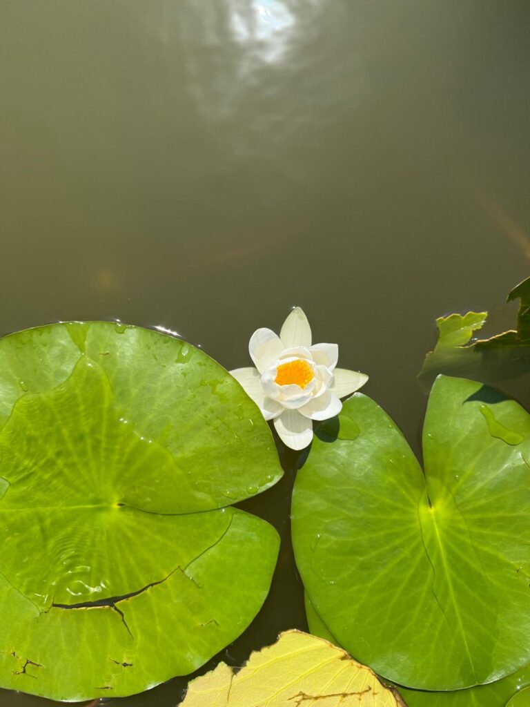 img 20251009 wa0009.jpg